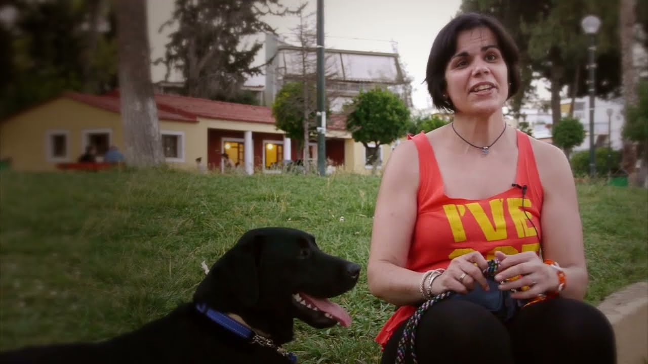 Σκύλοι Οδηγοί Ατόμων Με Αναπηρία Όρασης