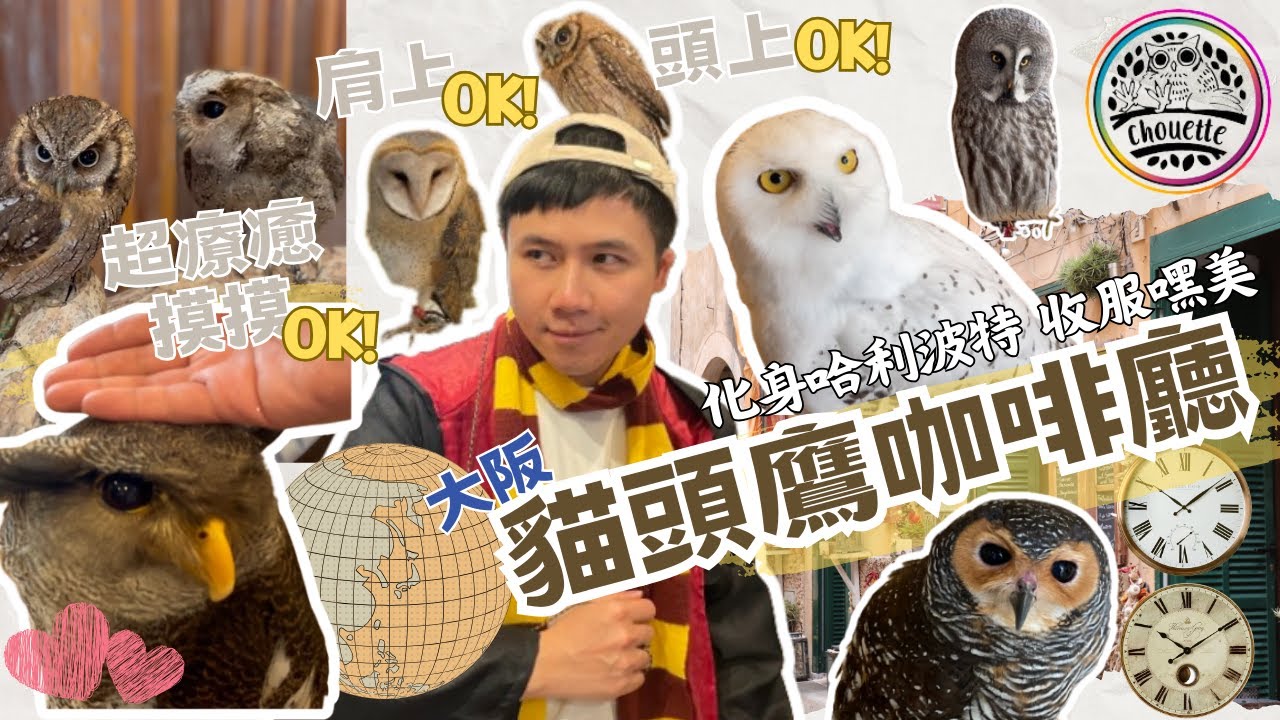【2023大阪人氣最高｜幸福貓頭鷹咖啡廳｜超療癒開箱】摸摸、頭上、肩上OK!｜化身哈利波特收服嘿美｜心齋橋咖啡廳｜幸せのふくろうカフェ｜大阪自由行｜鳥咖啡館｜フクロウカフェ