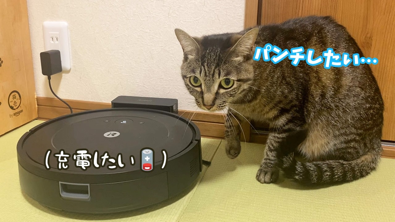 猫がいる時にロボット掃除機を出した結果…