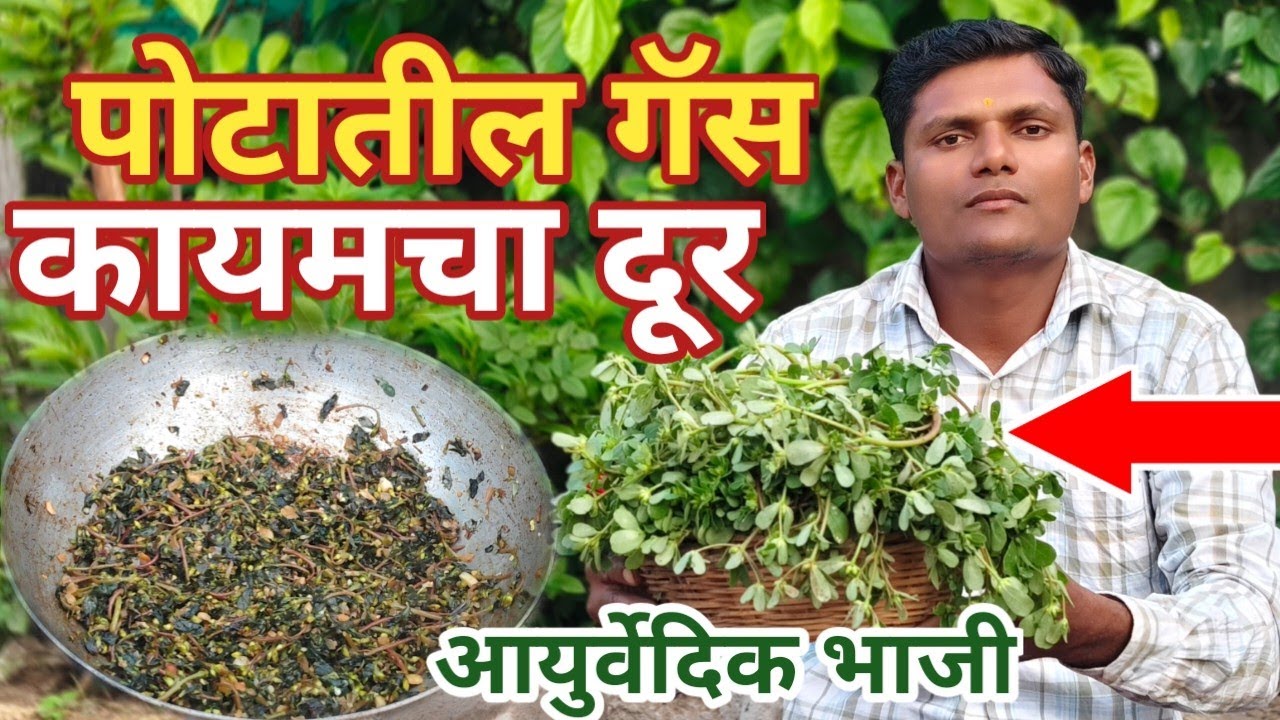 ही भाजी पोटातील गॅस कायमचा बंद करते | अन्नपचन सुरळीत  पोटातील कोलेस्ट्रॉल, वजन कमी | Ghol bhaji 