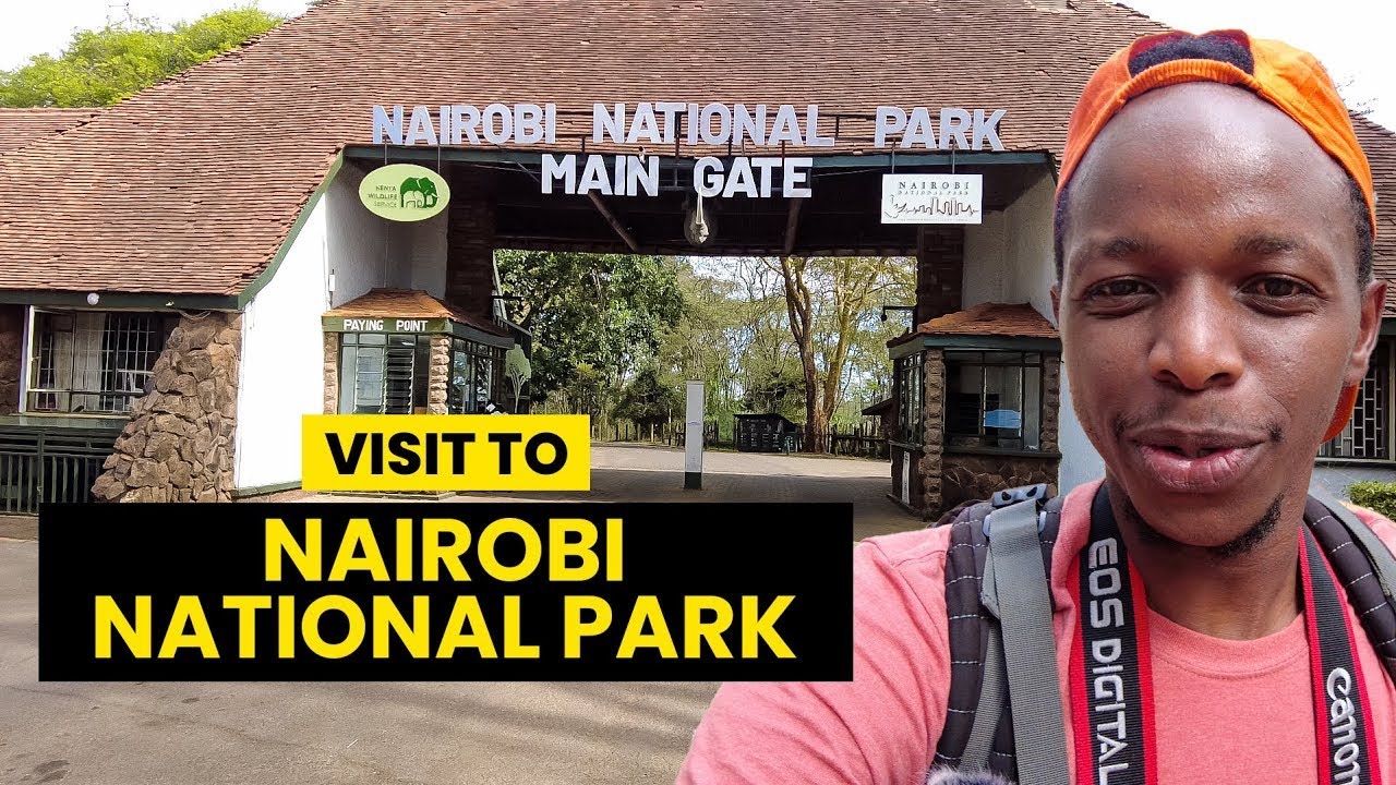 Nairobi Safari Walk vs. Animal Orphanage: Which is Better?
