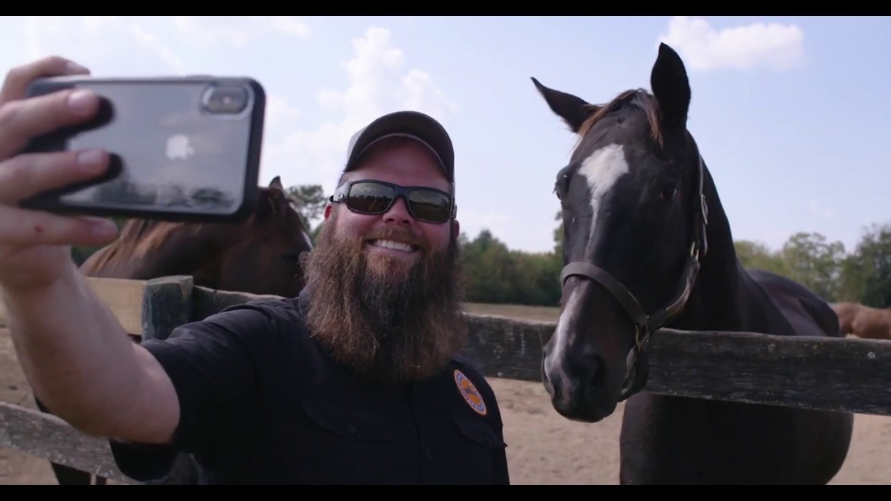 Georgetown, Kentucky: Through the Eyes of a Local