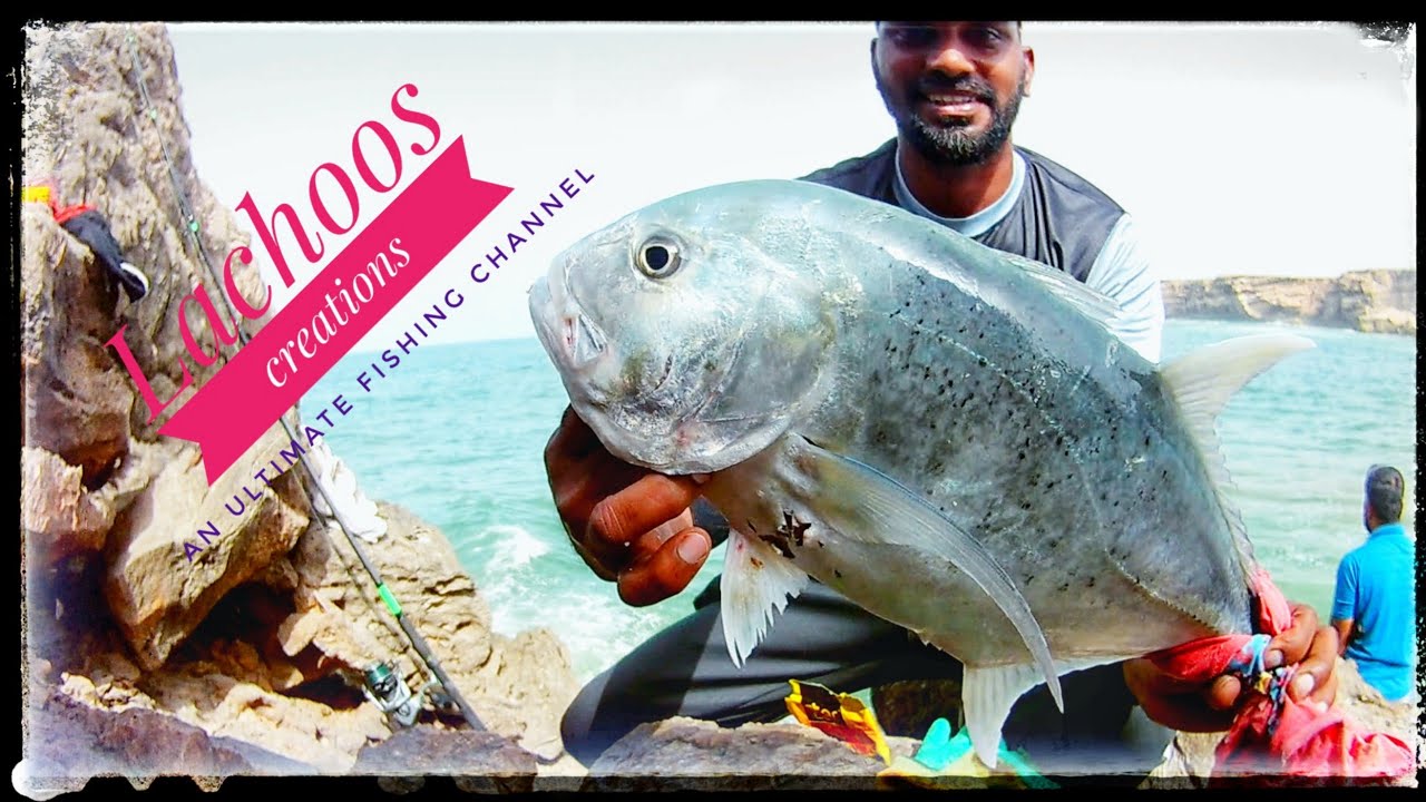 Giant Travally  fishing Oman, Salalah