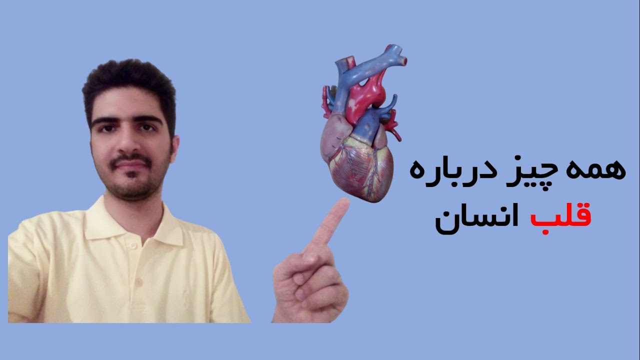 آناتومی قلب به زبان فارسی | Anatomy of the heart