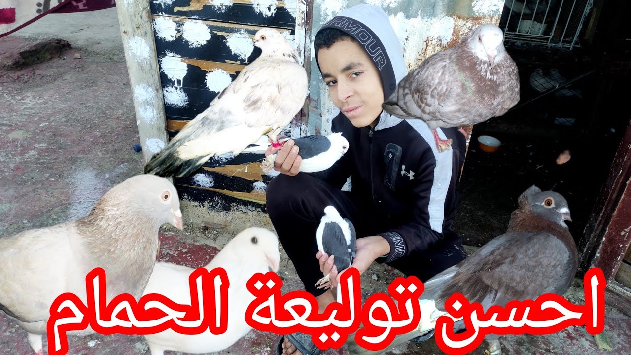 فيديو جديد 💯 أو احسن توليعة في الحمام😱😟 توليعة في الحمام مرحبا بكم جميعا 