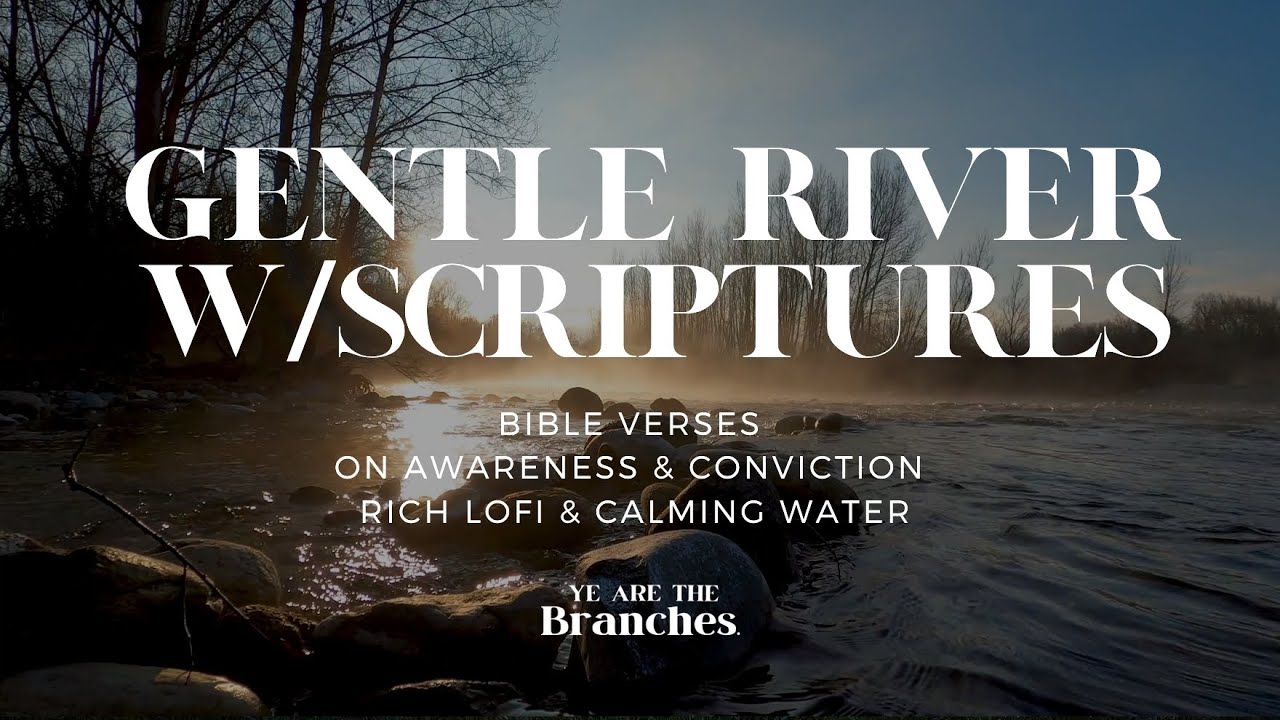 Discern Your Own Heart | Bible Meditation | Rich lo-fi | Calming Water #lofi