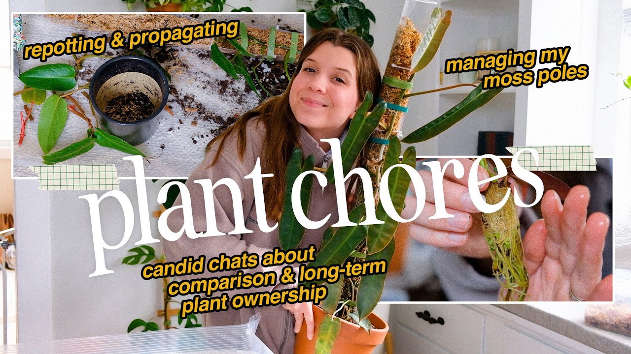 CHATTY PLANT CHORES!! 💕🪴✂️ catching up on moss poles, repotting, & propagating