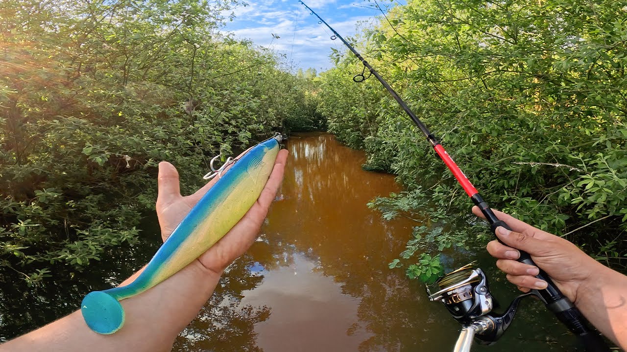 Wels Spinnfischen auf Sicht eskaliert komplett !!