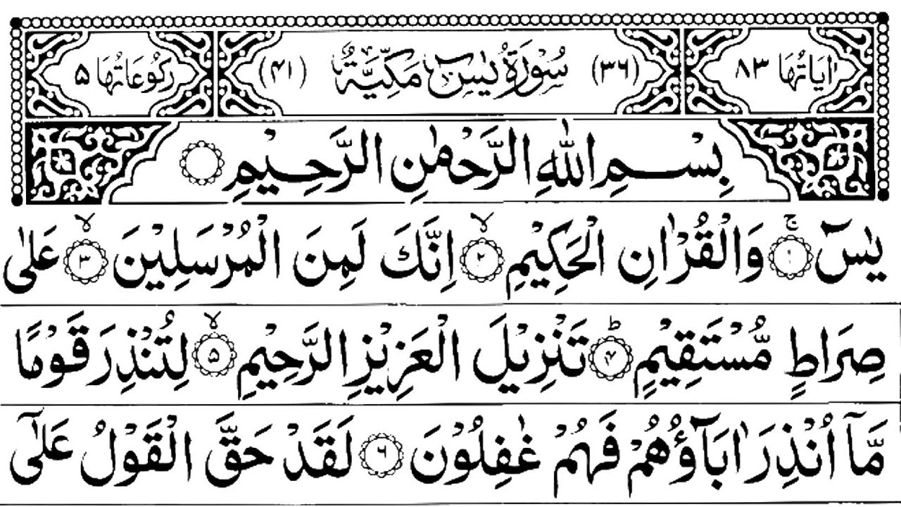 🌻 Surah Yaseen With Ar-Rahman & Mulk | Deep Calmness (Vol. 258