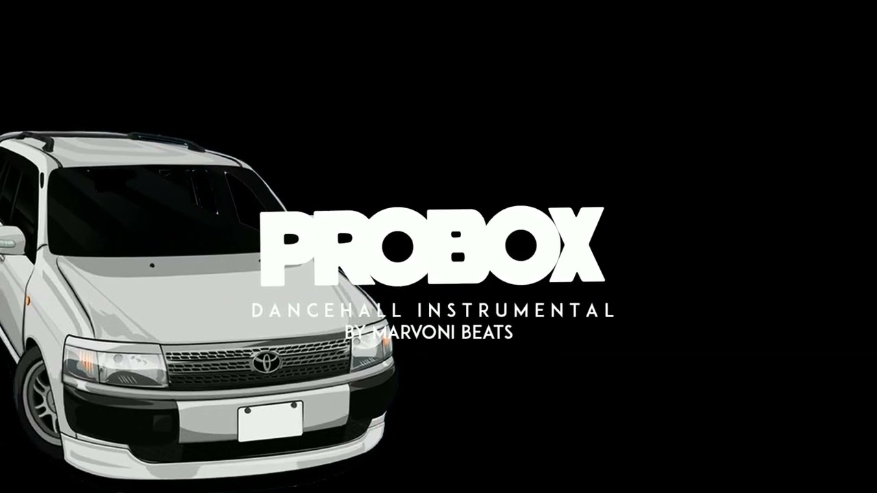 Dancehall Riddim Instrumental 2023 ( PROBOX )
