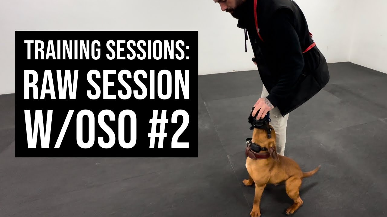 Training Sessions: Raw training session #2