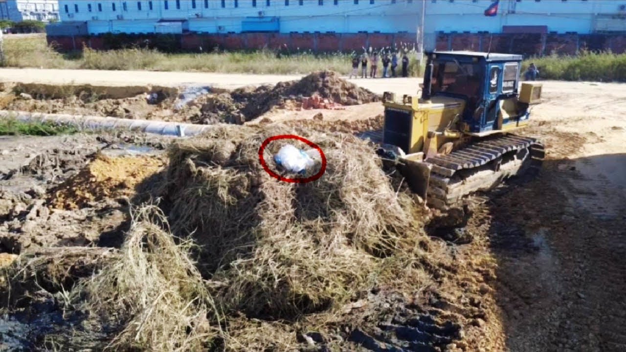 Nice New project with dozer komatsu D40P filling up land with soil and Dump Truck 