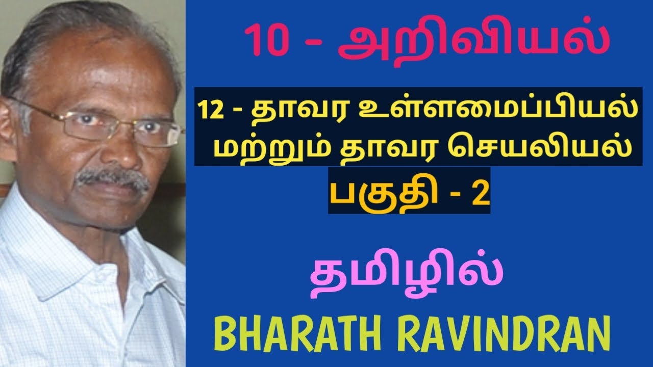10th Science Tamil Medium / Lesson - 12 Plant Anatomy and Physiology / Part - 2 / Bharath Ravindran
