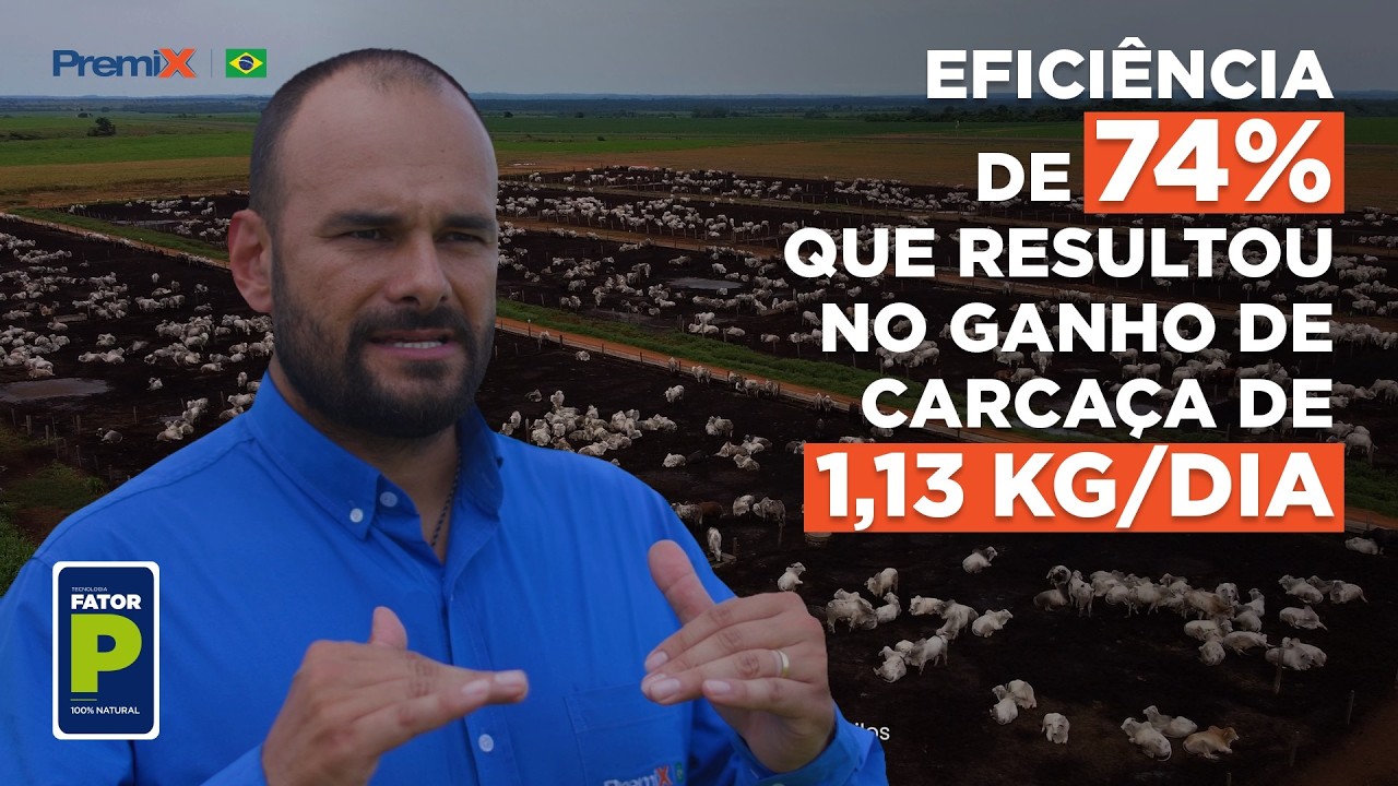 Pecuária no Norte do Brasil: O Case de Sucesso da Agropecuária LJ com a Premix