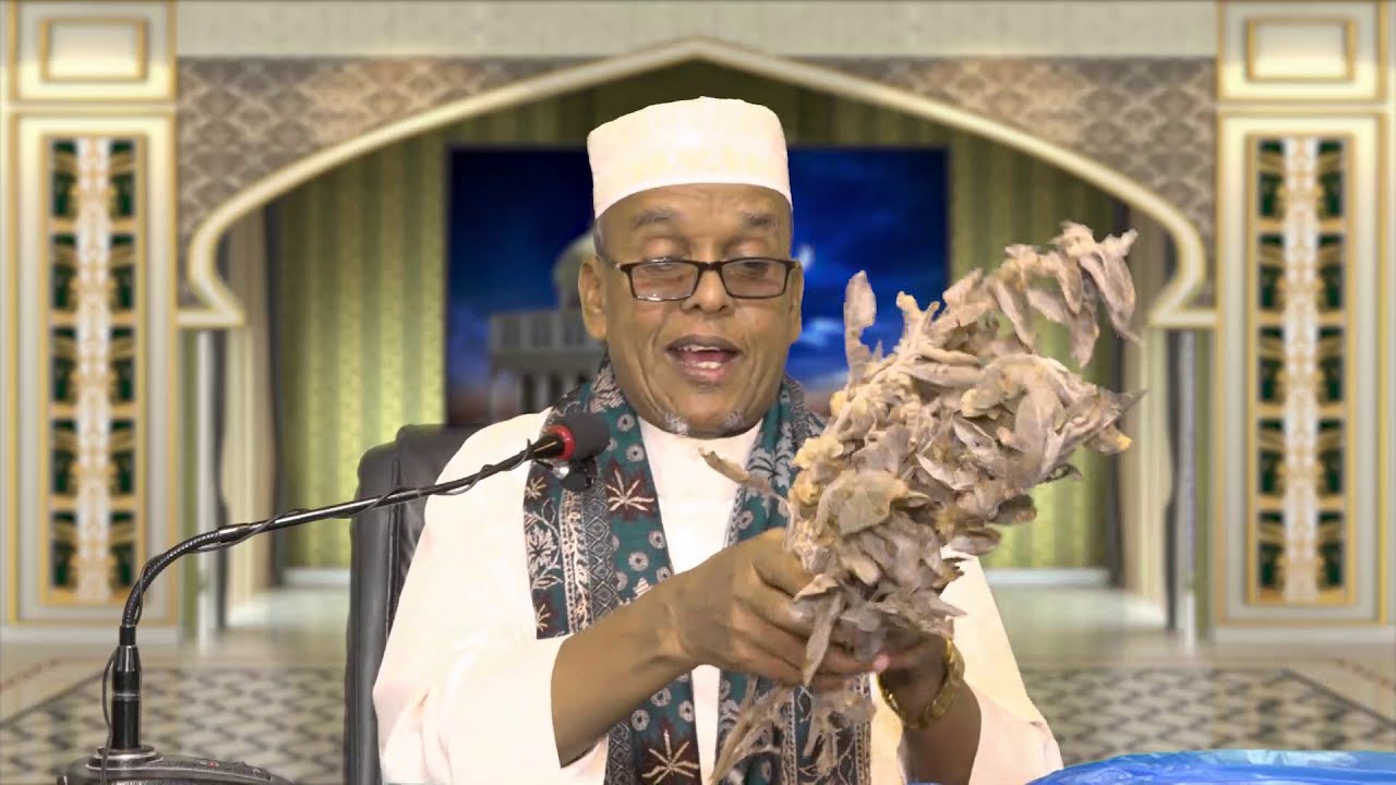 Sh.Maxamed Sh.Ismaaciil Oo Soo Bandhigay Geed Uu Sheegay In Nooc Ka Mid Ah Sixirka Dawo Ka yahay
