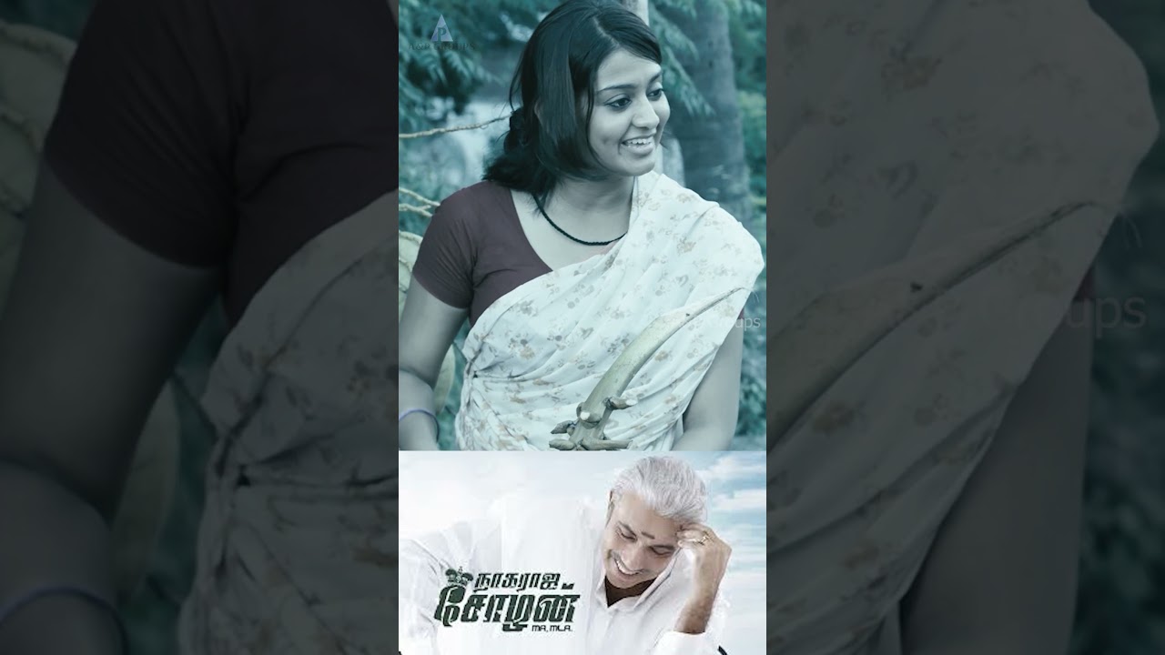 Nagaraja Cholan MA, MLA  | Full Movie | Sathyaraj | Manivannan |#seeman #dmk #tvk #trending #vijay