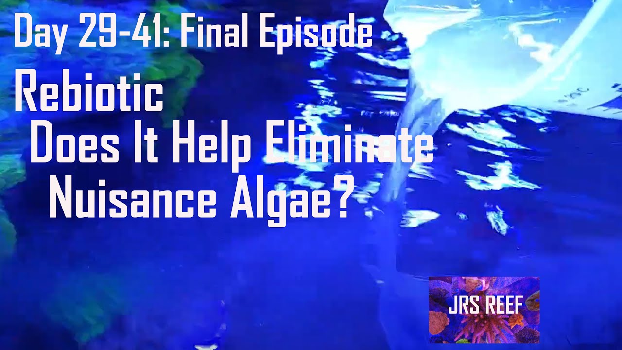 Full Fauna Marin Rebiotic Treatment Day 29-41 Final Episode & Conclusion!