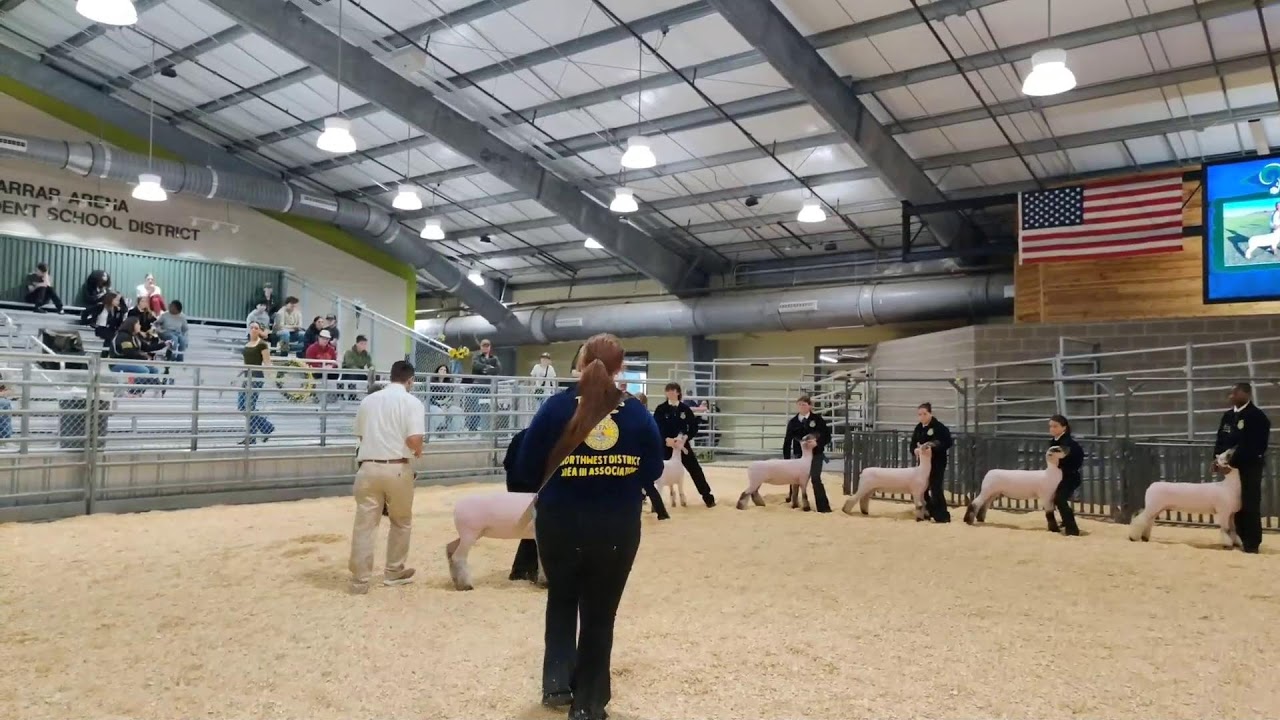2025 CFISD Livestock Show - Lamb Judging | Jan 30, 2025