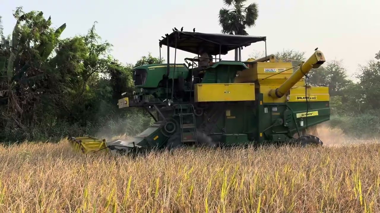 Ponmani field harvesting by JD5405 4WD Balkar box harvester performance
