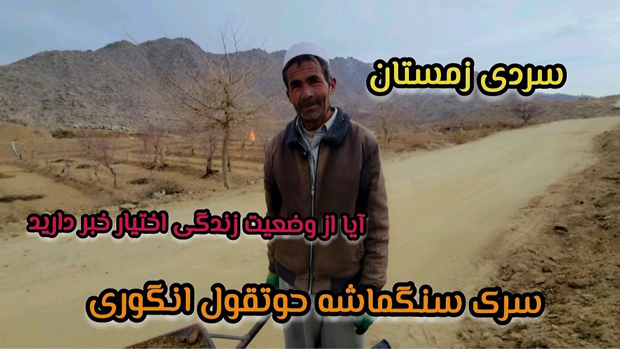 اختیار کسی که یک سال میشود در سرک سنگماشه حوتقول انگوری کار میکند نیازمند کمک شما است
