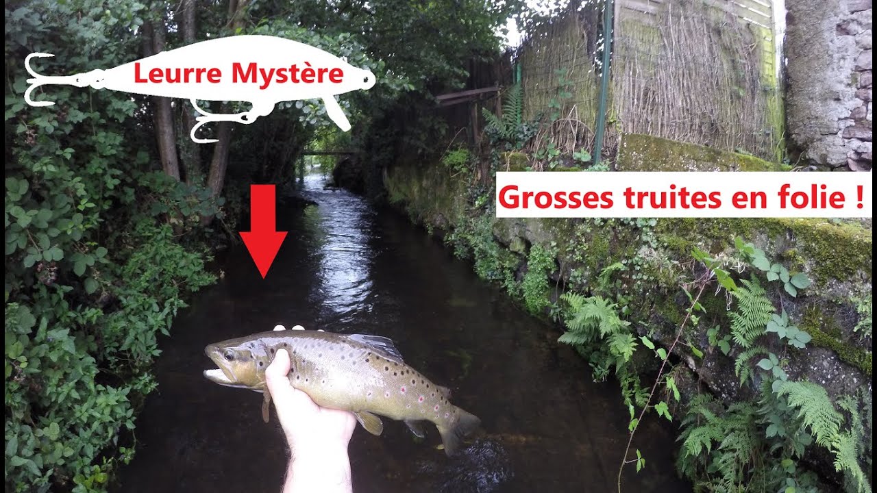 Ce leurre a un pouvoir ÉNORME sur les truites de ce ruisseau !