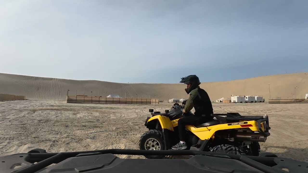 sealine can ams driving