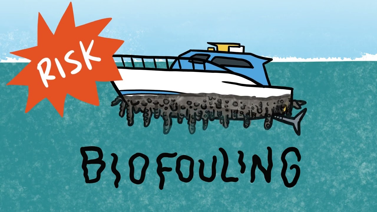 Prevent biofouling and keep our marine environment healthy