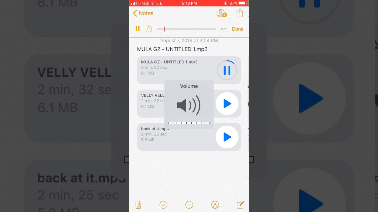 MULA GZZ - UNRELEASED HEAT