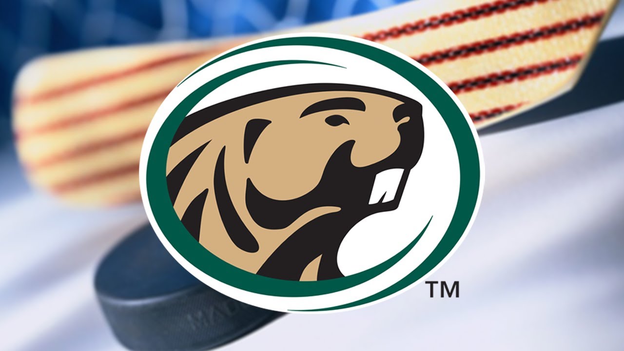 BSU Women's Hockey Looks To Carry Momentum Into Series With #10 Minnesota Duluth | Lakeland News
