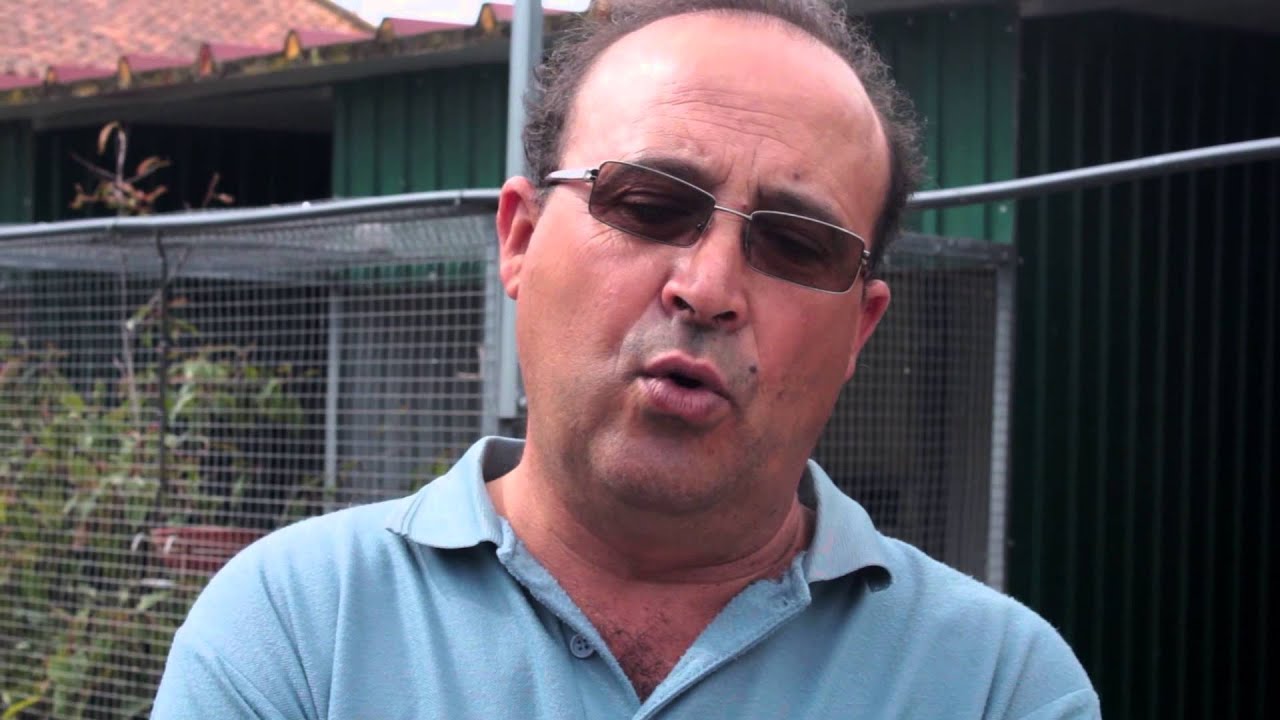 Webdocumentário Aves, Paixão Europeia ( Manuel Cardoso)