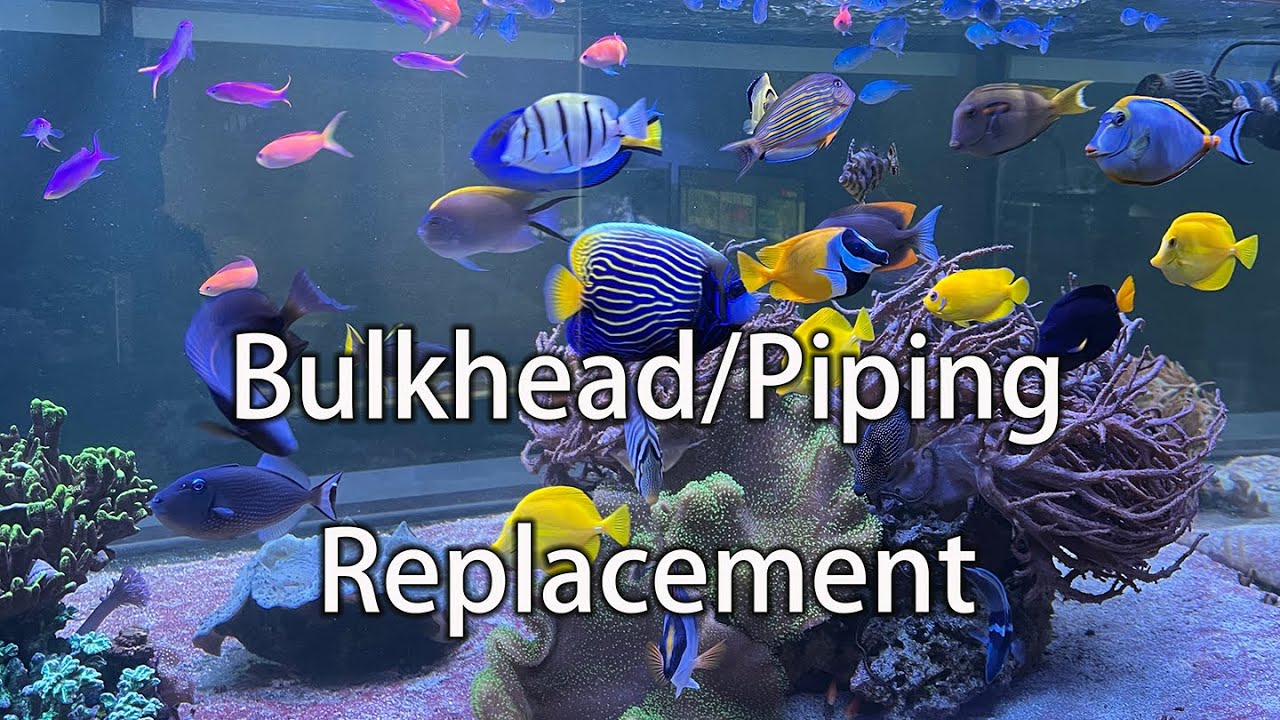 Bulkhead and Return Pipe Fixed