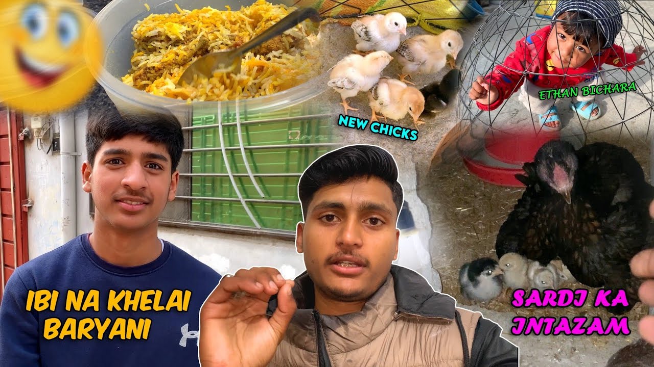 IBI Na Khelai Baryani | New Chicks | Ethan Bichara | Daily Vlogs | Marie Bhatti Gaming.