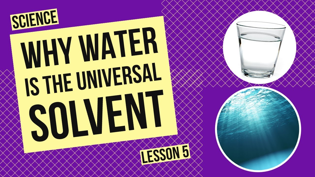 Why Water is the Universal Solvent: The Science Behind Water&rsquo;s Dissolving Power