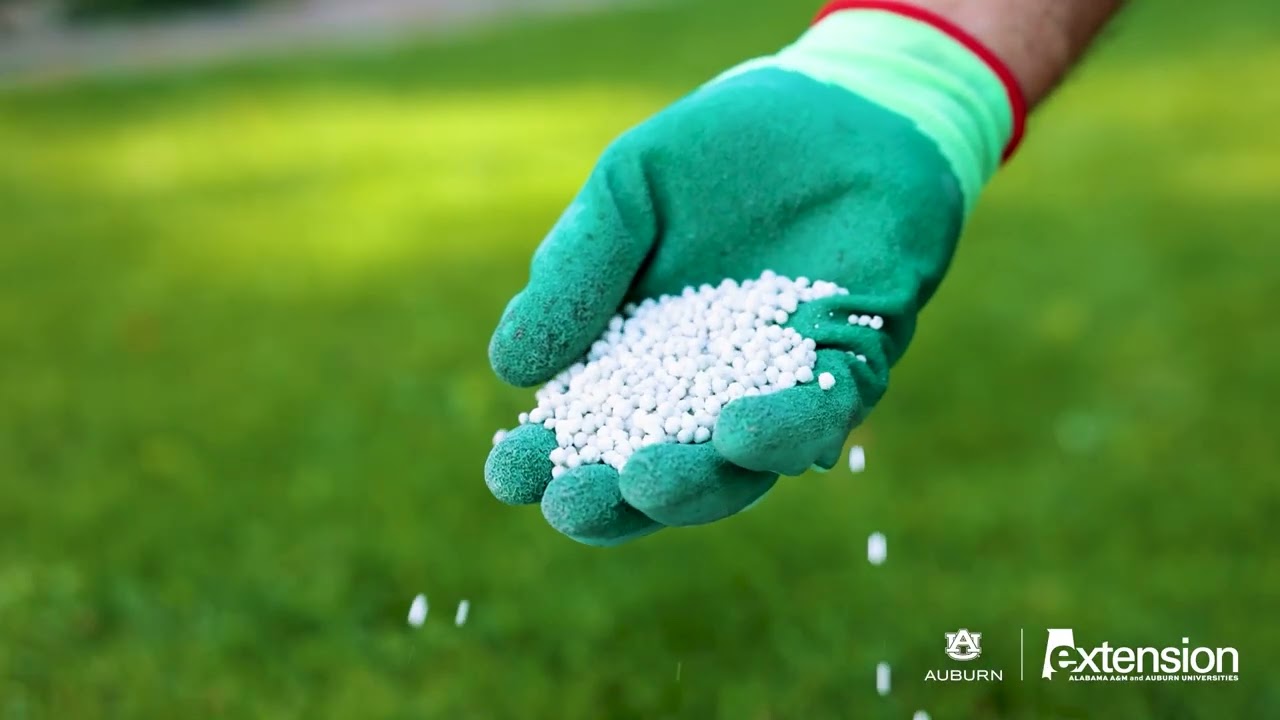 Prepping Lawns for Fall and Winter