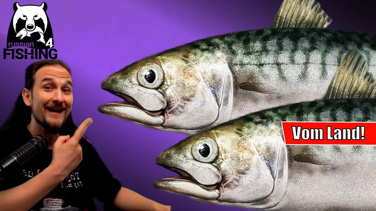Russian Fishing 4 - Nordmeer - Makrele vom Land, auf Grund am Meer