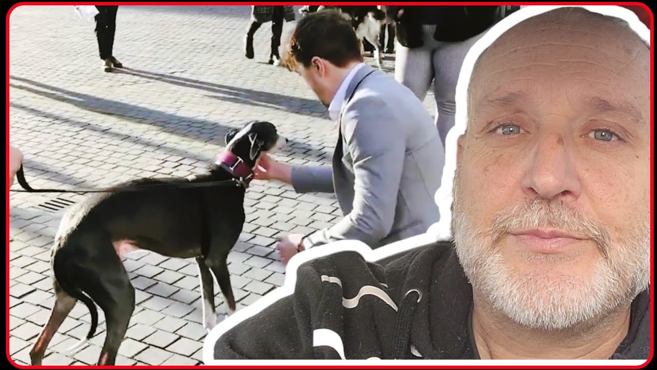 . La VERDAD sobre el Reencuentro de DALAS y ARGOS: Análisis de un EXPERTO Psicólogo Canino