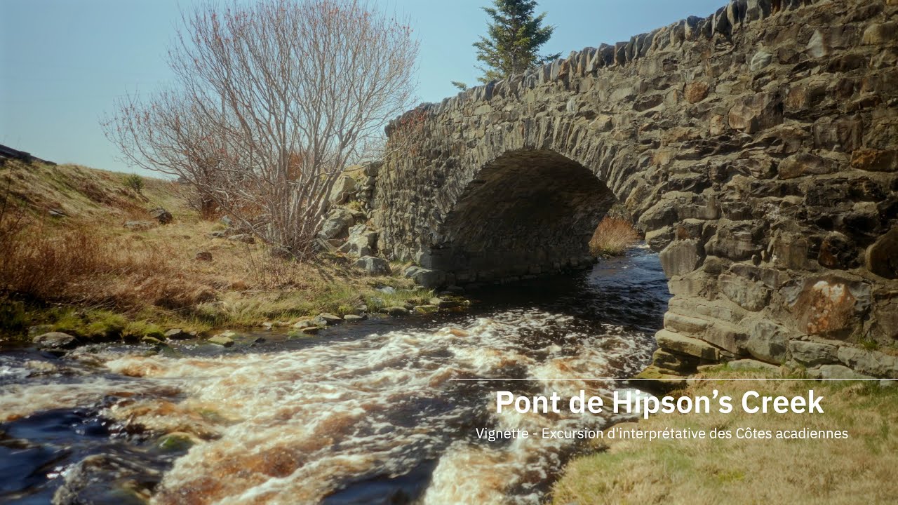 Pont de Hipson's Creek - Vignette - Excursion interprétative des Côtes acadiennes