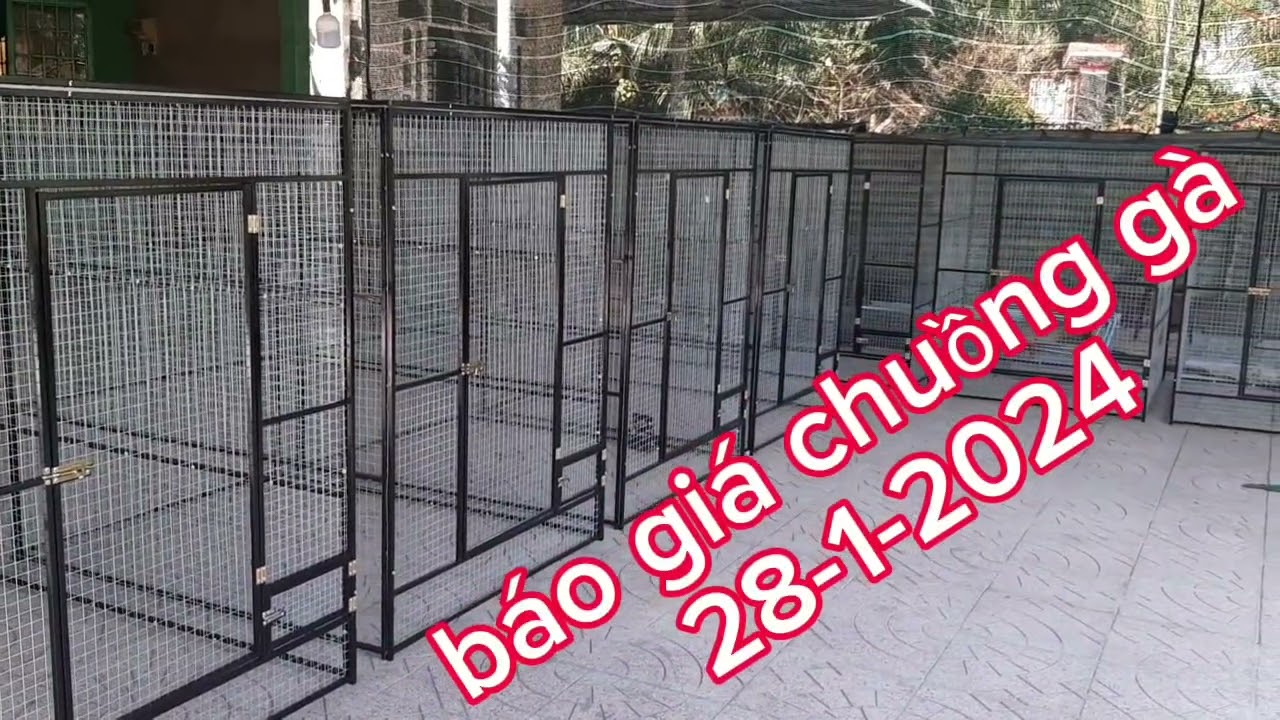 chuồng gà chiến mẫu 2024 zalo 0352393386