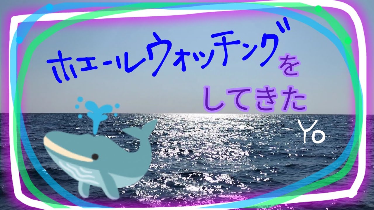 【Whale watching】会えました！