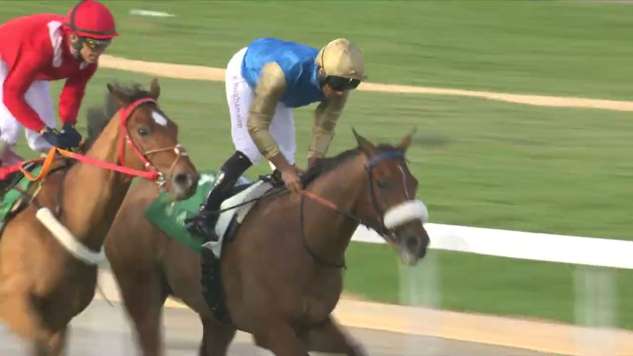 Race Replay R3 - NHC Saudi International Handicap 90-110 – Sat 24th February 2024