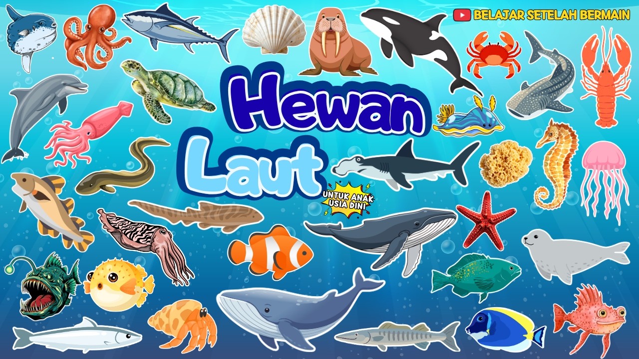 Nama - Nama Hewan Laut || Belajar Mengenal Hewan Laut untuk Anak Usia Dini
