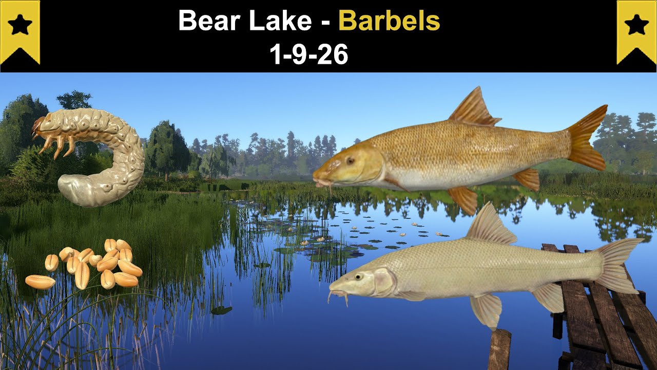 Russian Fishing 4, Bear Lake - Barbels (Common Barbel Trophy) 1-9-26