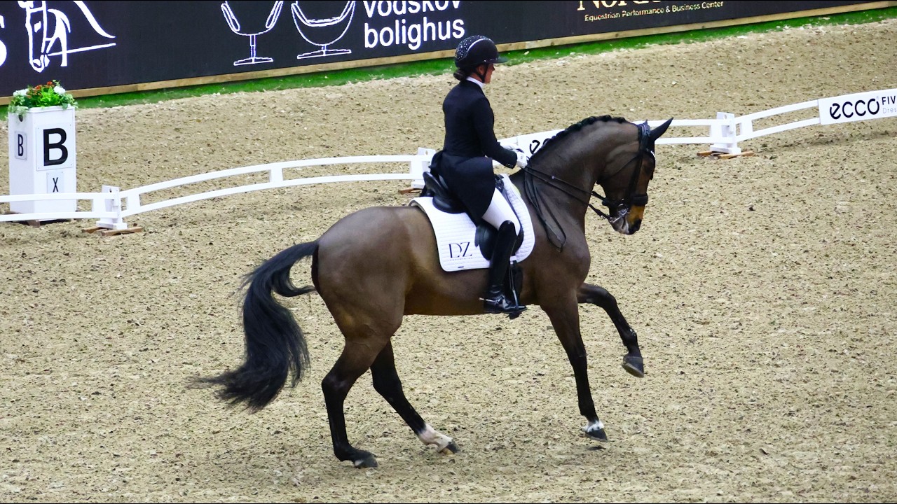 CDI5* Grand Prix Freestyle press conference Herning 2026