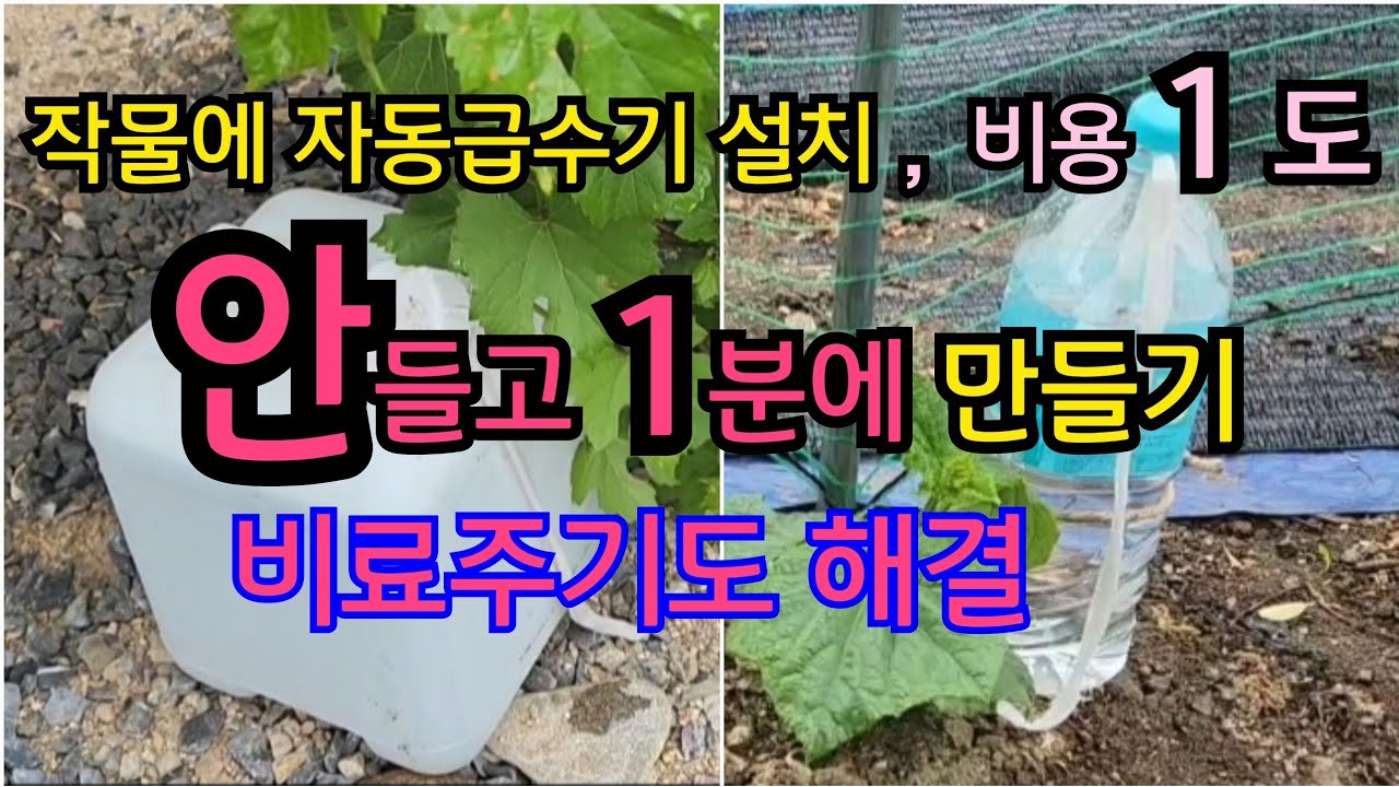농작물 자동급수기 돈 안들이고 초간단 만드는 방법,자동급수와 거름주기가 한방에 끝 ! 햇빛이 많이 드는곳은 굵은 천을 쓰면 안 마릅니다