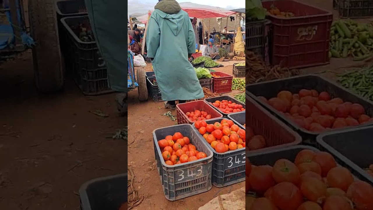 مبشرة من سوق تلات الحنشان إقليم الصويرة