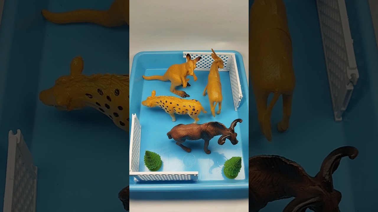 Animal Toys Asmr Oddly Satisfying