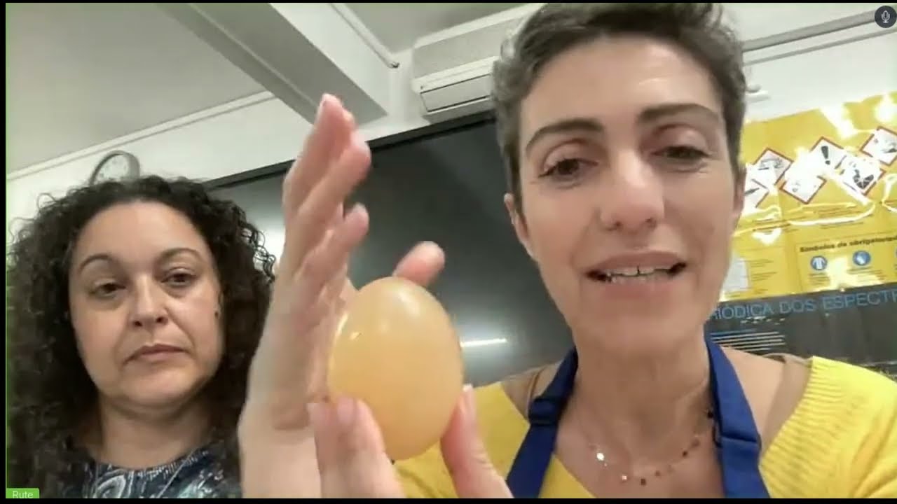 Webinar "Eggs-Experiments"