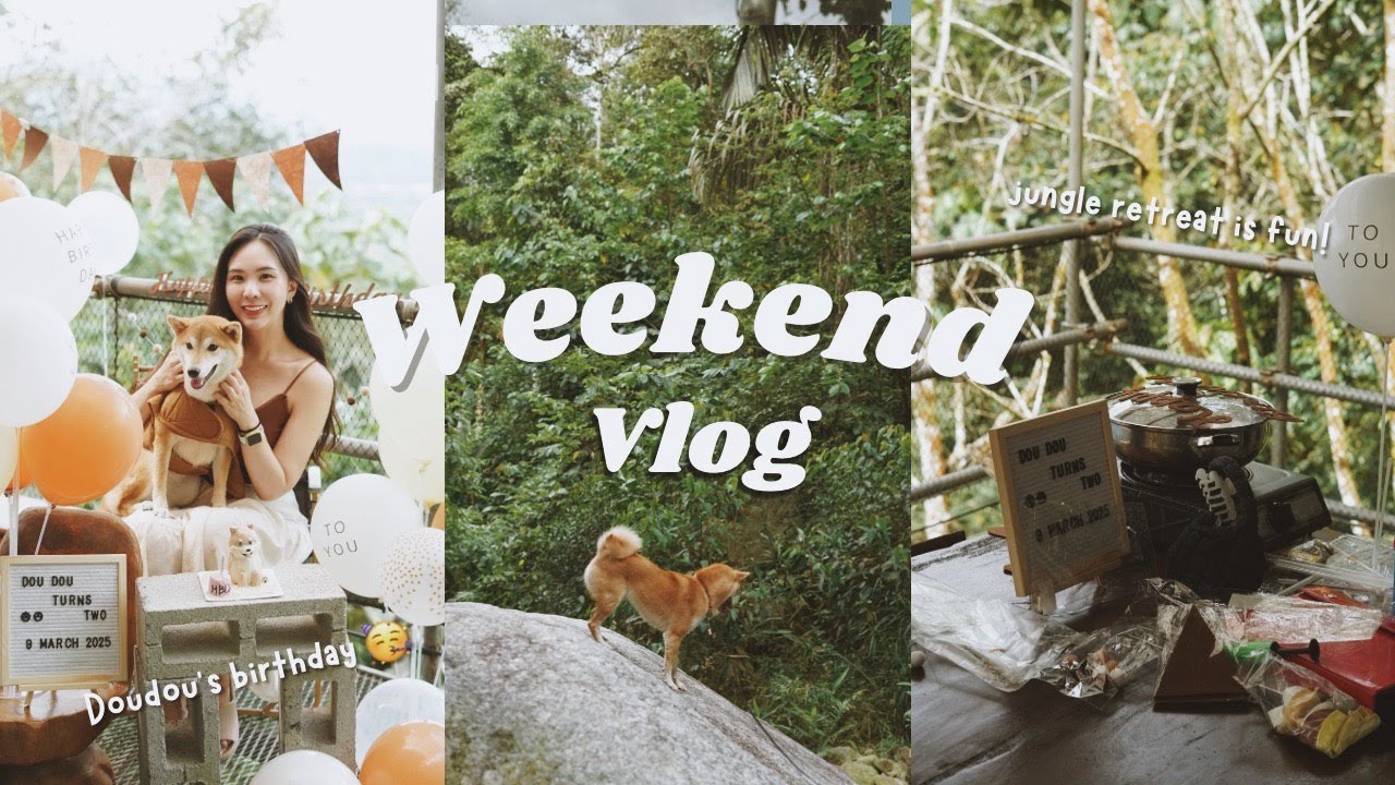 Staying experience at Gibbon Retreat Bentong! Weekend birthday getaway! 🐕🐕