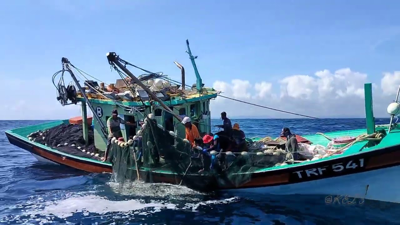 Rezeki Selar Kuning pukat yang pertama 