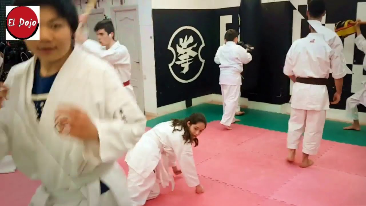 Escuela de Artes Marciales de Madrid   El Dojo